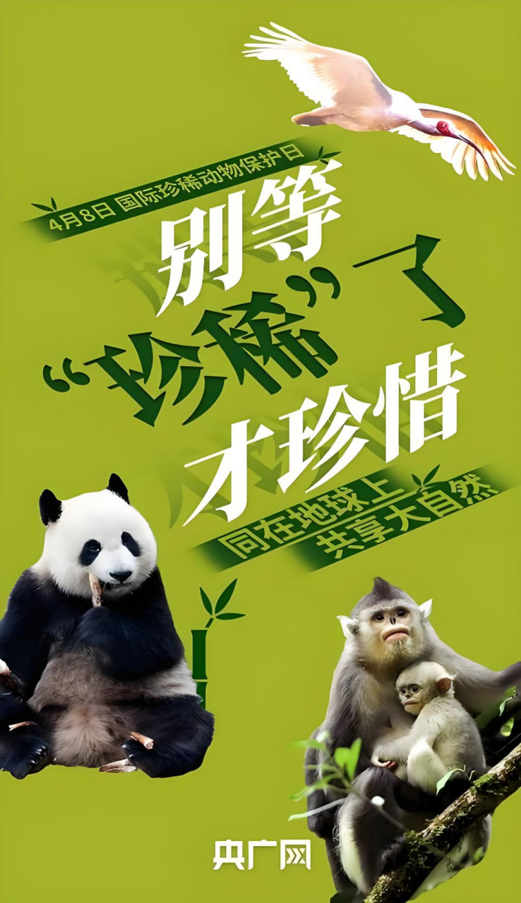 排名1综艺